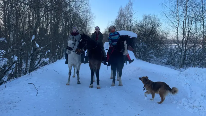 Конный клуб «Династия»