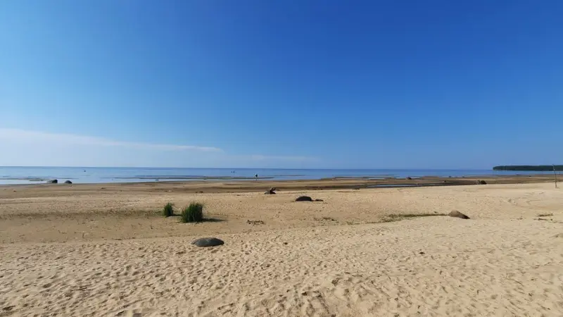 Широкий песчаный пляж на Рыбинском водохранилище