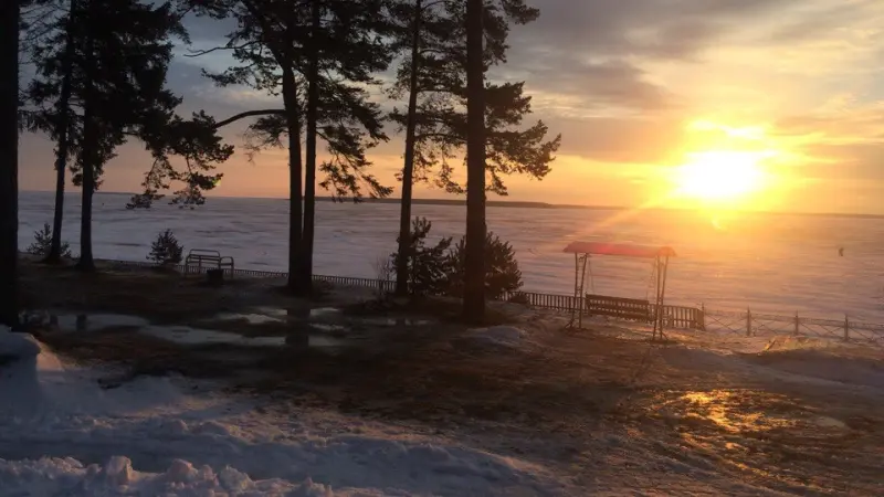 База отдыха «Солнечный бор»