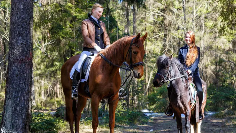 Конедом «Конь и Понь»