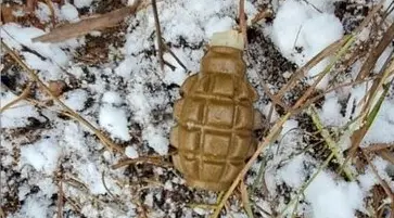 Бабаевец нашёл боевую гранату и оставил себе