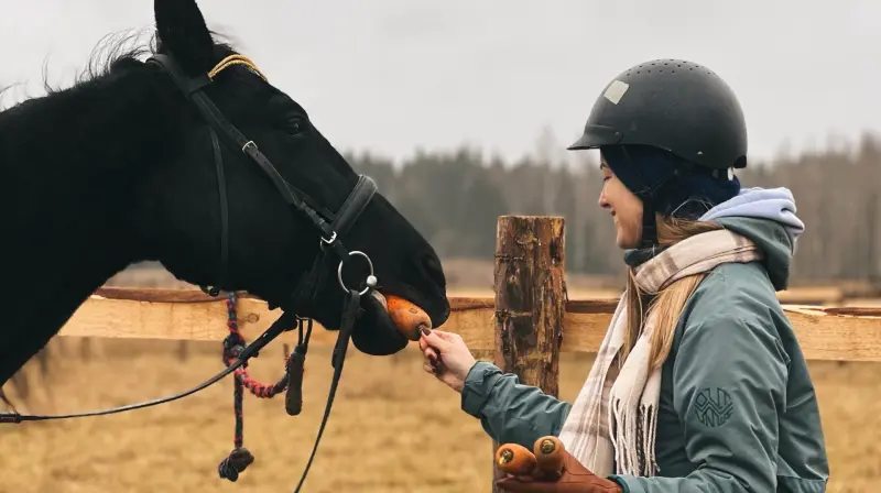 Конный клуб «Квинтэссенция»