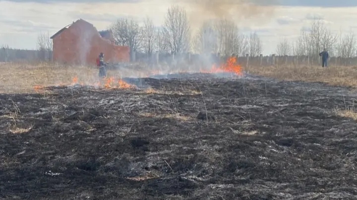 Под Вологдой мужчина решил сжечь мусор и устроил крупный пожар