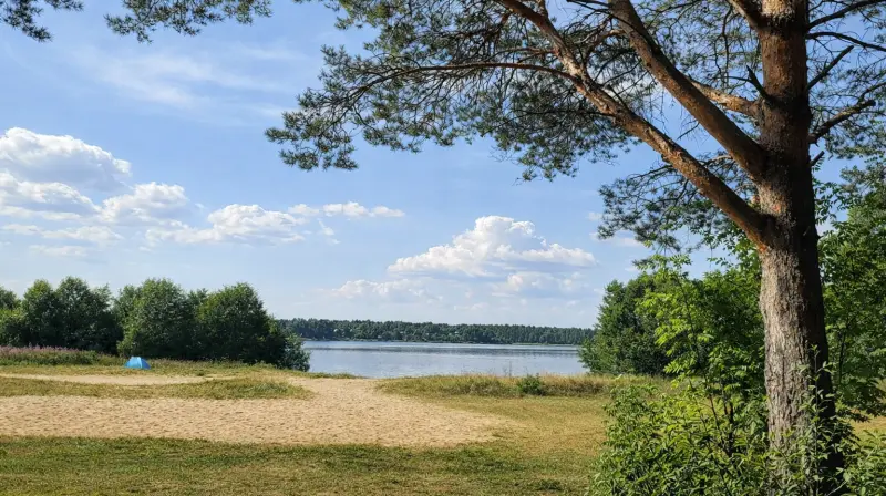 Пляж на озере Шолпинское в 60 км от Вологды