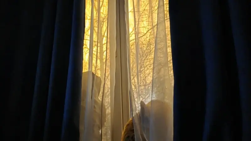 Яркое свечение замечают в Вологде