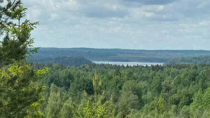 Гора Известковая