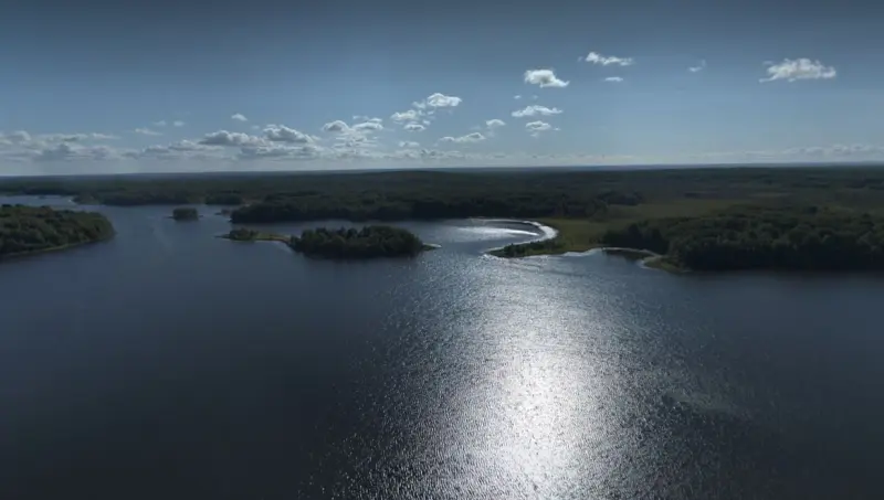 На Вологодчине есть почти нетронутые леса