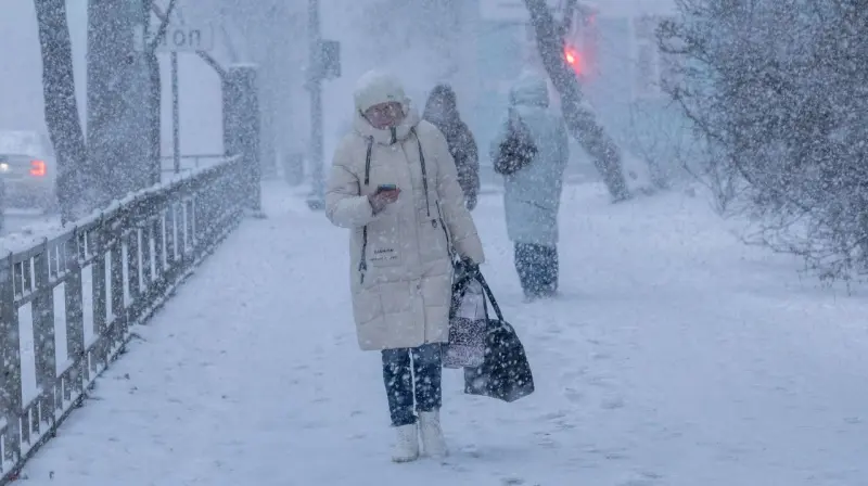 Метели снова идут на Вологдчину