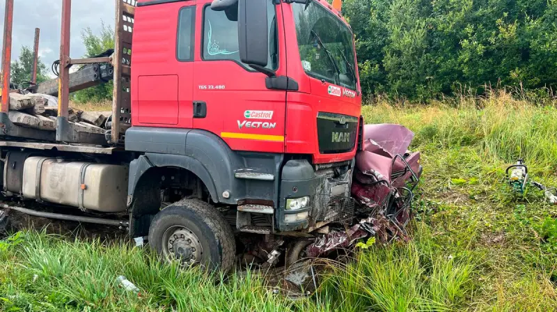 В ДТП с грузовиком под Грязовцем погибли несколько человек
