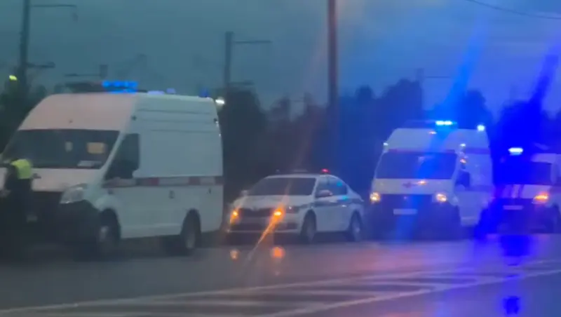 Серьёзное ДТП с лосем на выезде из Вологды