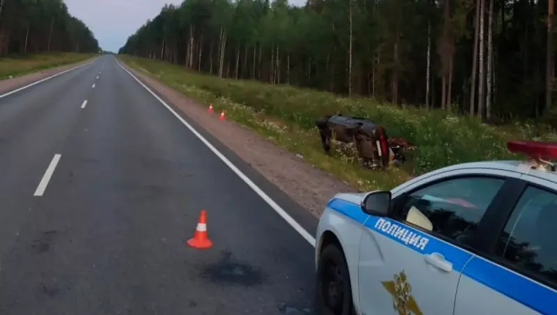 Под Тарногой из-за лося в ДТП разбилась семья
