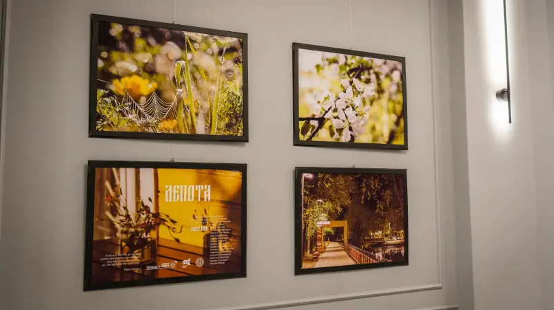 В Вологде открылась фотовыставка «Лепота»