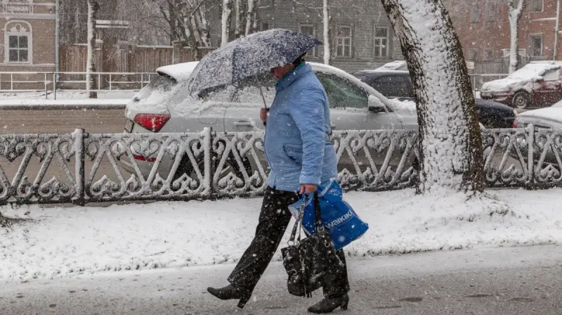 Осень на Вологодчине начинает отступать