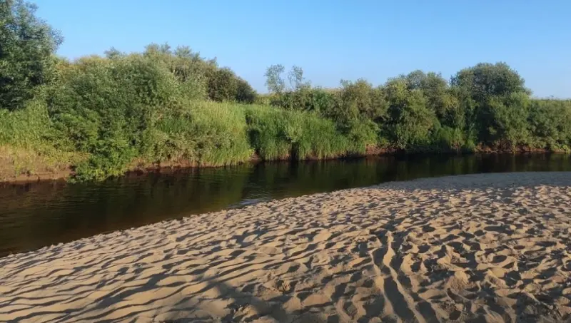 Приятный пляж в 30 км от Вологды