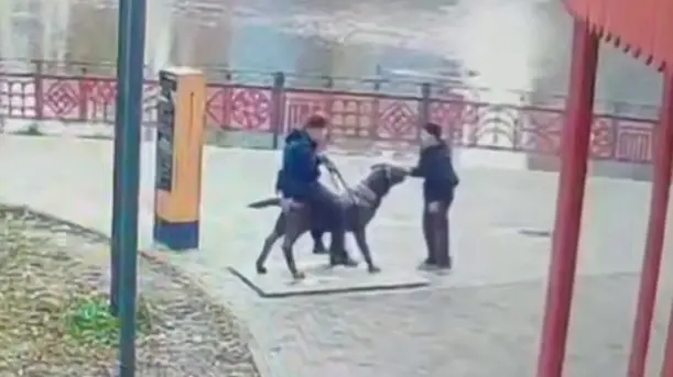 2 млн руб. заплатят родители малолетних вандалов