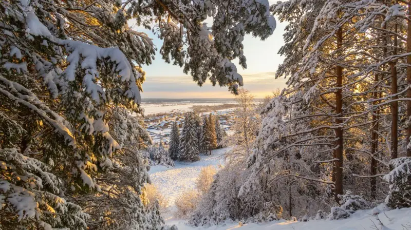 Прошла самая длинная ночь в году