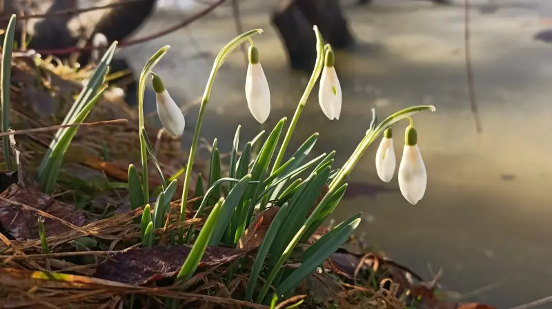 На Вологодчине побиты температурные рекорды