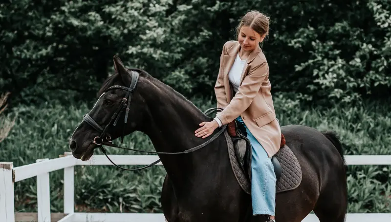 Конно-спортивный клуб «Виват»