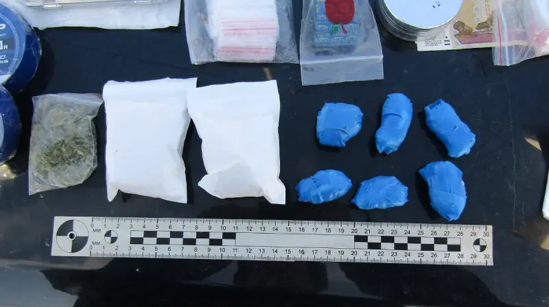 Перевозчик наркотиков попытался скрыться в лесу при задержинии