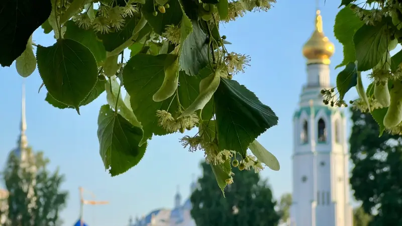 Синоптики рассказали о погоде на Вологодчине на неделю
