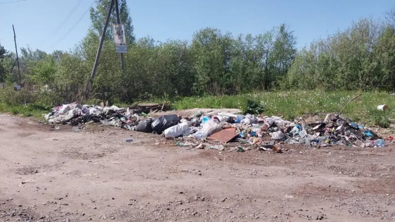 На несанкционированных свалках Вологды нарушителей ловят с помощью камер