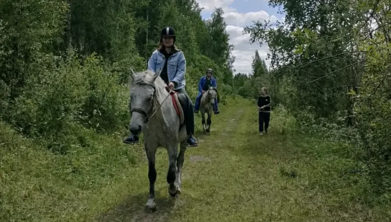 Конный клуб «Амистр»