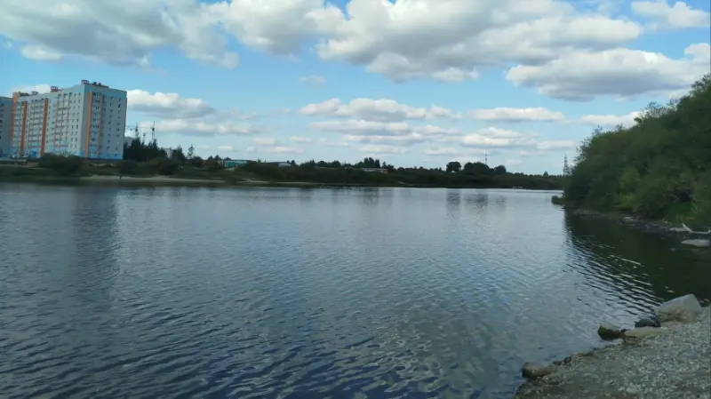 На Затоновском пляже в Вологде чуть не утонул ребёнок