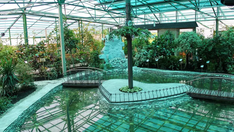 Ботанический сад «Ботаника»