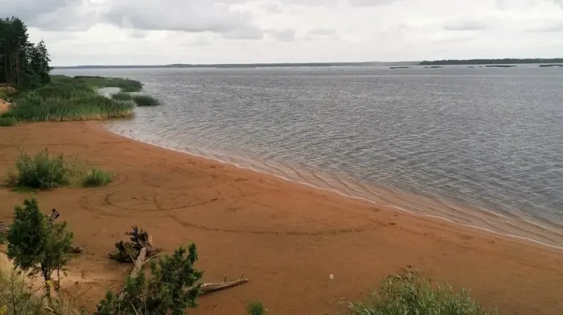 Пляж на берегу Мологи