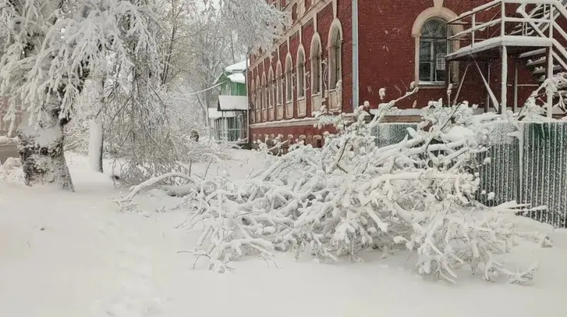 Область заваливает снегом