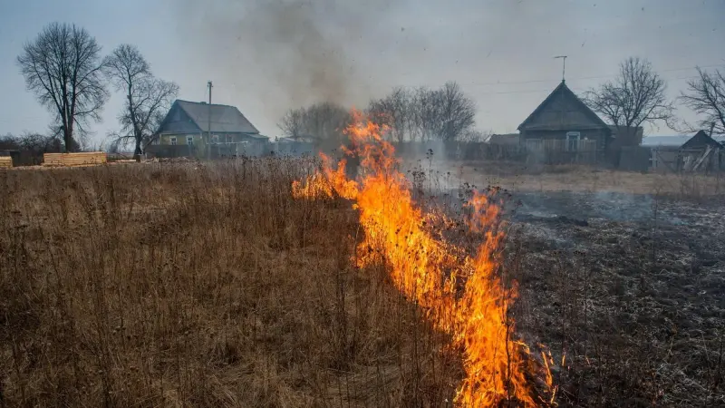 С 15 апреля запретят жечь траву 