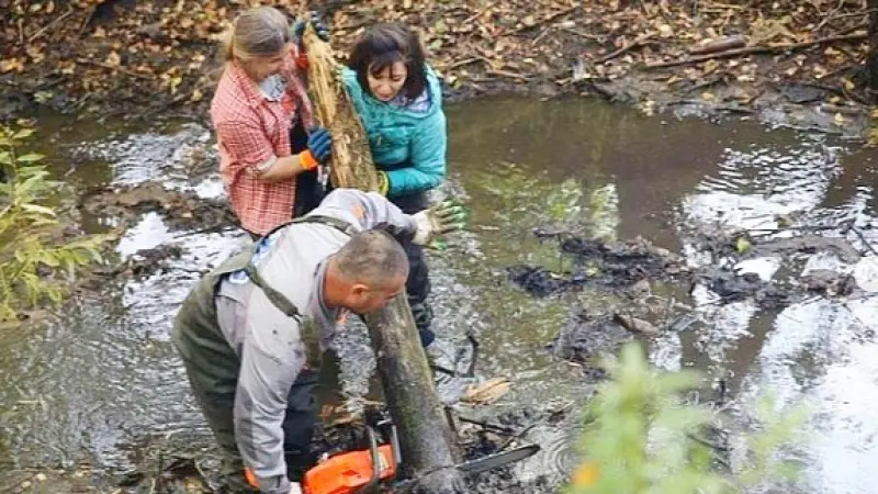 Вологжан приглашают на уборку Содемы