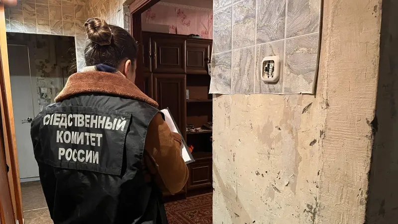 Пьяная вологжанка зарезала мужа 