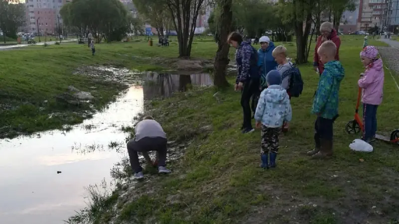 Вологжанин вытащил из пруда ребенка