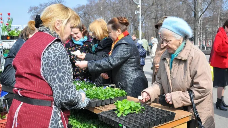 В Вологде проходит ярмарка «Дачный сезон»
