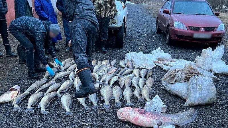 Инспекторы заповедника оказались браконьерами