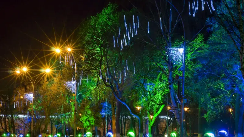 Вологда засияет новогодними огнями к 15 декабря