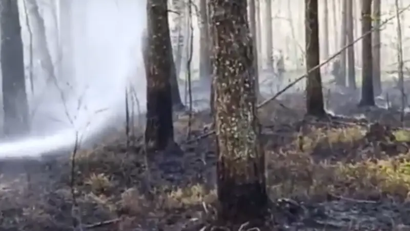 На Вологодчине начали гореть торфяники