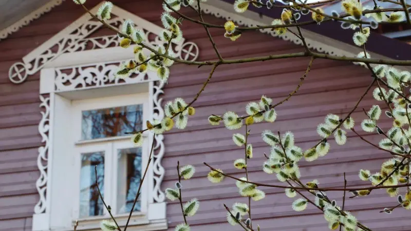 В Вологде потеплеет до +18 градусов