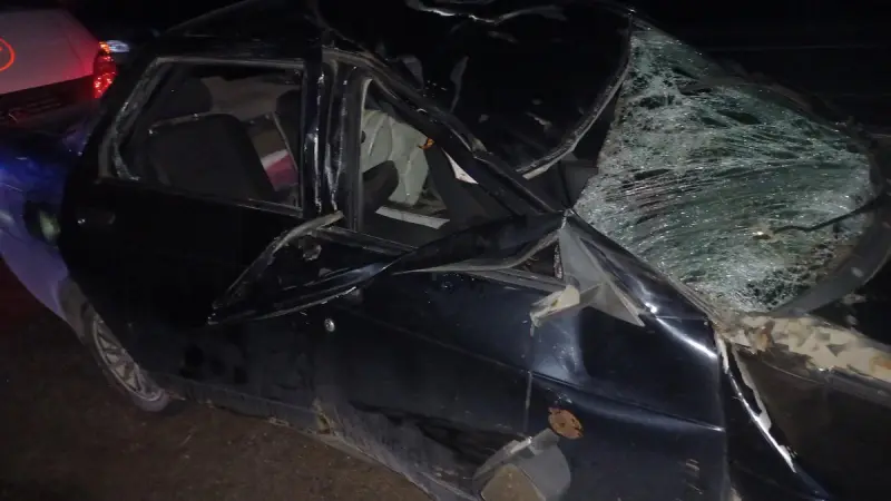 Под Череповцом в ДТП с лосем пострадала женщина 