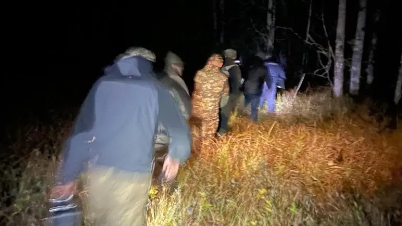 В Вологодском округе браконьеры застрелили лося